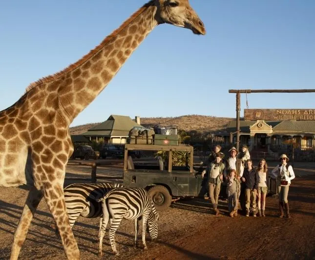 Мои африканские приключения (2013) смотреть онлайн бесплатно Мои африканские приключения (2013) фильм смотреть онлайн бесплатно