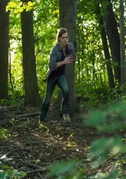 Волки (2013) смотреть онлайн Волки (2013) фильм смотреть онлайн