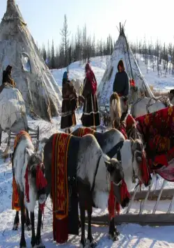 Белый ягель (2014) смотреть онлайн бесплатно Белый ягель (2014) фильм смотреть онлайн бесплатно