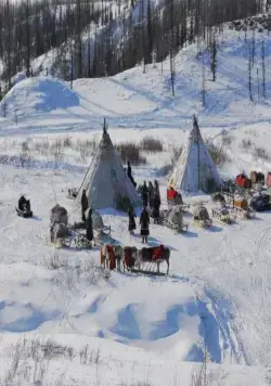 Белый ягель (2014) смотреть онлайн Белый ягель (2014) фильм смотреть онлайн