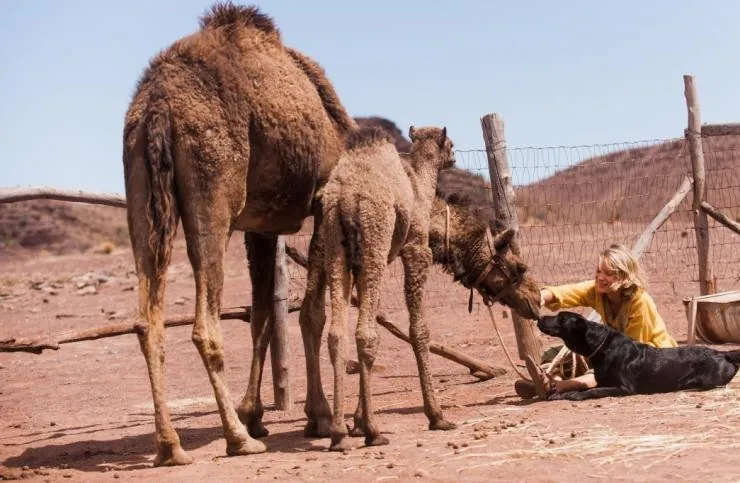 Тропы (2013) в хорошем качестве смотреть онлайн Тропы (2013) фильм в хорошем качестве смотреть онлайн