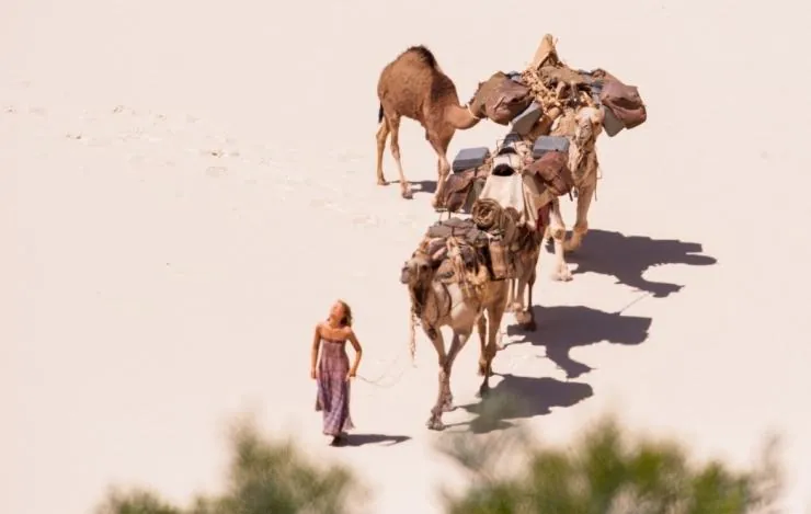 Тропы (2013) смотреть онлайн Тропы (2013) фильм смотреть онлайн