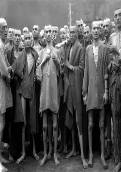 Наступит ночь (2014) смотреть онлайн бесплатно Наступит ночь (2014) фильм смотреть онлайн бесплатно