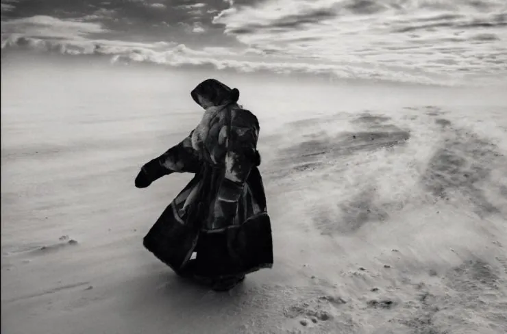 Соль Земли (2014) в хорошем качестве смотреть онлайн Соль Земли (2014) фильм в хорошем качестве смотреть онлайн