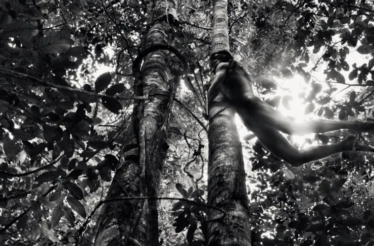 Соль Земли (2014) смотреть онлайн бесплатно Соль Земли (2014) фильм смотреть онлайн бесплатно