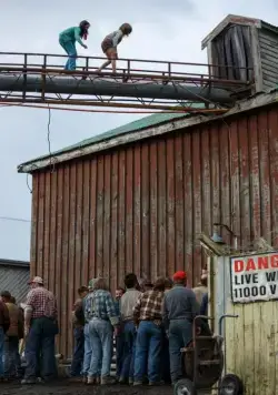 Пит и его дракон (2016) в хорошем качестве смотреть онлайн Пит и его дракон (2016) фильм в хорошем качестве смотреть онлайн