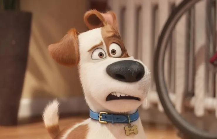 Тайная жизнь домашних животных (2016) смотреть онлайн бесплатно Тайная жизнь домашних животных (2016) мультфильм смотреть онлайн бесплатно