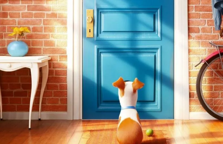 Тайная жизнь домашних животных (2016) смотреть онлайн Тайная жизнь домашних животных (2016) мультфильм смотреть онлайн