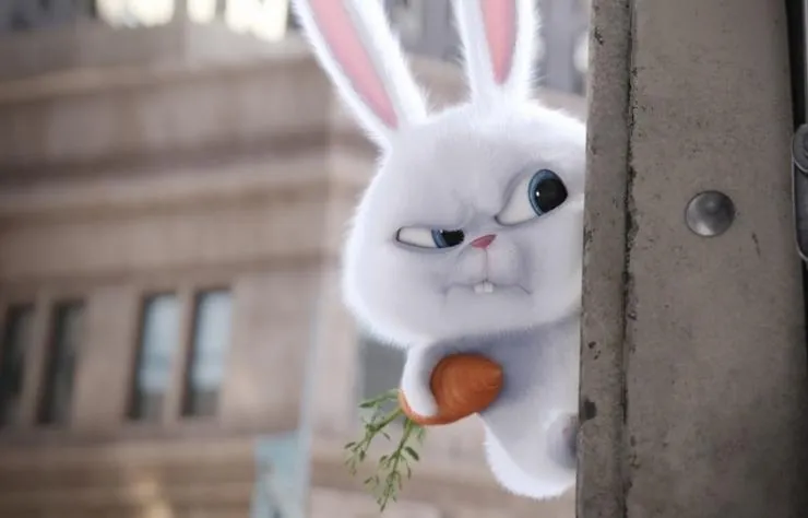 Тайная жизнь домашних животных (2016) в хорошем качестве смотреть онлайн Тайная жизнь домашних животных (2016) мультфильм в хорошем качестве смотреть онлайн