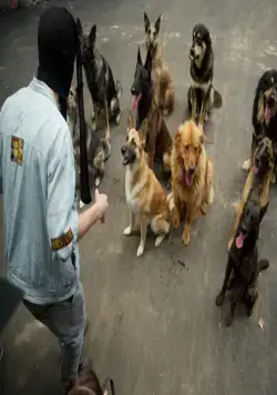 СуперБобровы (2016) смотреть онлайн СуперБобровы (2016) фильм смотреть онлайн