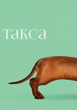 Такса / Wiener-Dog (2015) фильм смотреть онлайн Такса / Wiener-Dog (2015) фильм смотреть онлайн в хорошем качестве