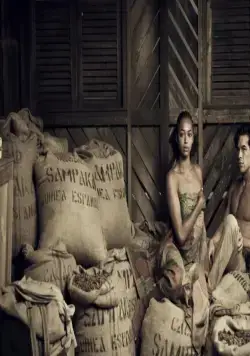 Пальмы в снегу (2015) смотреть онлайн Пальмы в снегу (2015) фильм смотреть онлайн