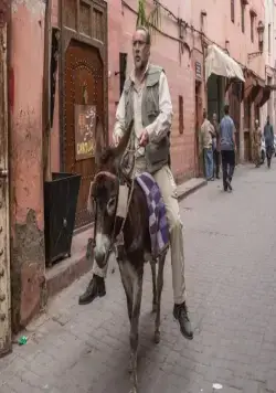 Миссия: Неадекватна (2016) смотреть онлайн Миссия: Неадекватна (2016) фильм смотреть онлайн