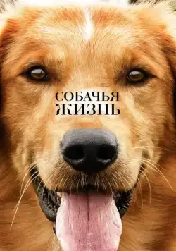 Собачья жизнь / A Dog's Purpose (2017) фильм смотреть онлайн Собачья жизнь / A Dog's Purpose (2017) фильм смотреть онлайн в хорошем качестве