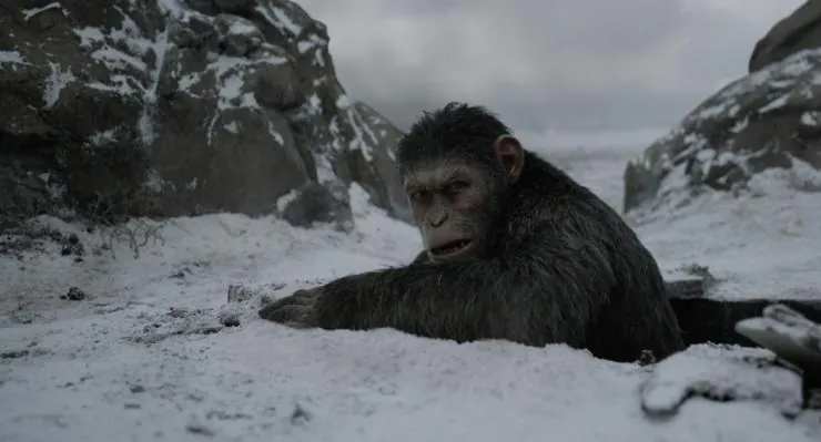 Планета обезьян: Война (2017) в хорошем качестве смотреть онлайн Планета обезьян: Война (2017) фильм в хорошем качестве смотреть онлайн