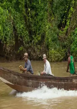 Золото (2016) в хорошем качестве смотреть онлайн Золото (2016) фильм в хорошем качестве смотреть онлайн