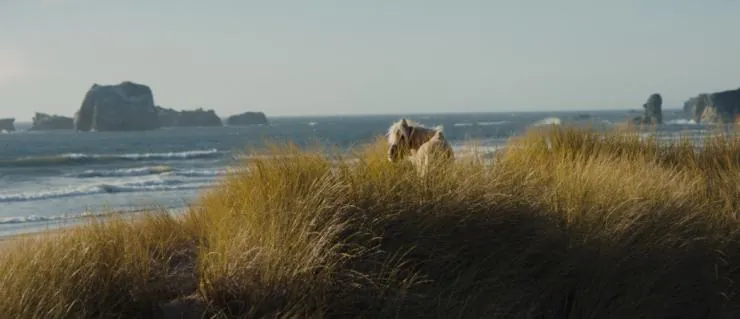 Девица (2018) смотреть онлайн Девица (2018) фильм смотреть онлайн