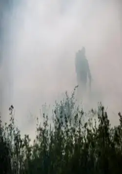 Голодные Z (2017) смотреть онлайн бесплатно Голодные Z (2017) фильм смотреть онлайн бесплатно