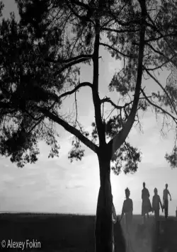 Лето (2018) смотреть онлайн бесплатно Лето (2018) фильм смотреть онлайн бесплатно