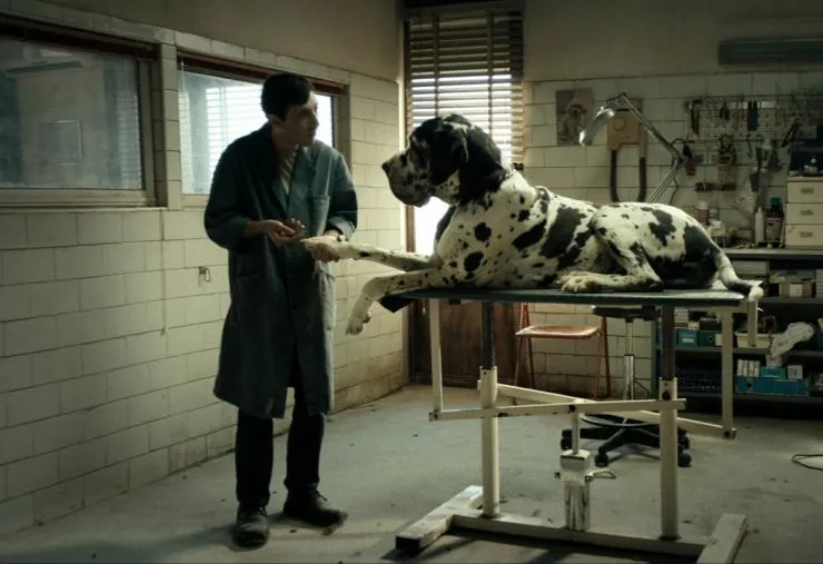 Догмэн (2018) смотреть онлайн бесплатно Догмэн (2018) фильм смотреть онлайн бесплатно