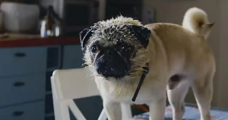 Патрик (2018) смотреть онлайн Патрик (2018) фильм смотреть онлайн