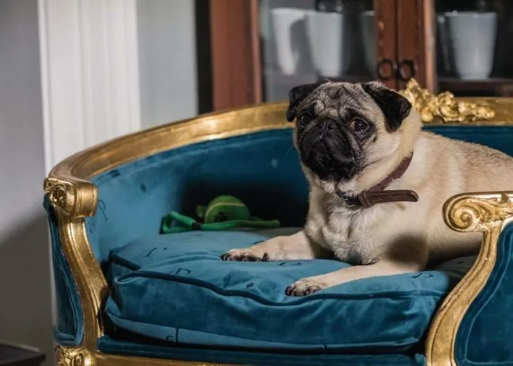 Патрик (2018) смотреть онлайн бесплатно Патрик (2018) фильм смотреть онлайн бесплатно