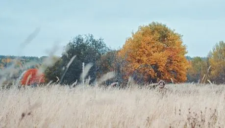 Сказки о маме (2018) смотреть онлайн бесплатно Сказки о маме (2018) фильм смотреть онлайн бесплатно