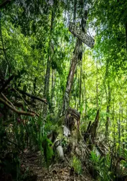 Кладбище домашних животных (2019) в хорошем качестве смотреть онлайн Кладбище домашних животных (2019) фильм в хорошем качестве смотреть онлайн