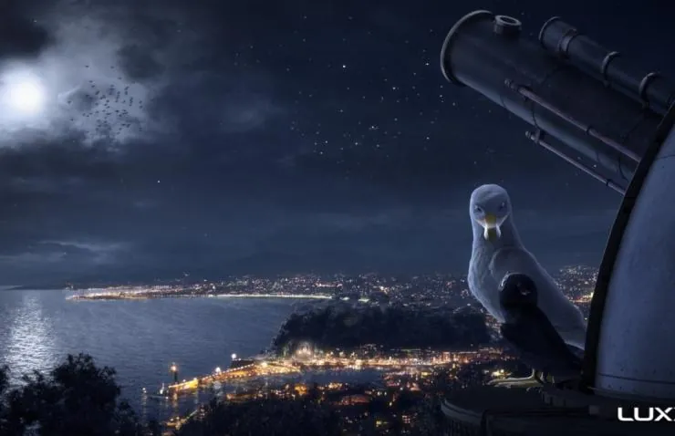 Птичий дозор (2019) смотреть онлайн бесплатно Птичий дозор (2019) мультфильм смотреть онлайн бесплатно