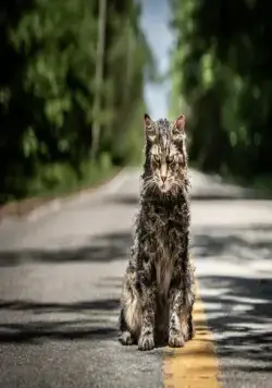 Кладбище домашних животных (2019) смотреть онлайн бесплатно Кладбище домашних животных (2019) фильм смотреть онлайн бесплатно