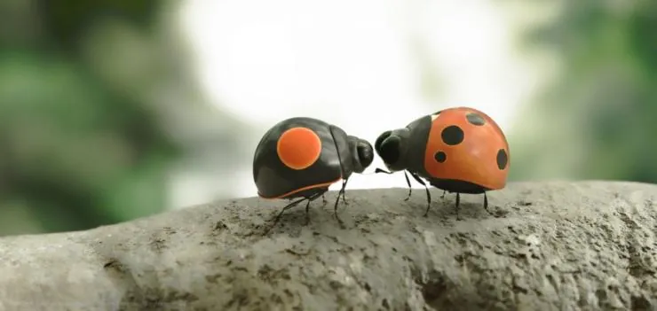 Букашки 2 (2018) смотреть онлайн бесплатно Букашки 2 (2018) мультфильм смотреть онлайн бесплатно