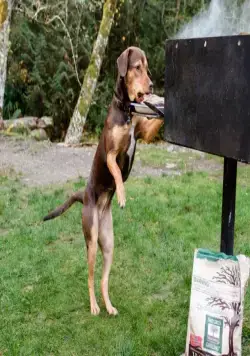 Путь домой (2019) смотреть онлайн Путь домой (2019) фильм смотреть онлайн