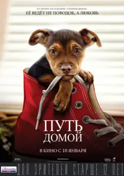 Путь домой / A Dog's Way Home (2019) фильм смотреть онлайн Путь домой / A Dog's Way Home (2019) фильм смотреть онлайн в хорошем качестве