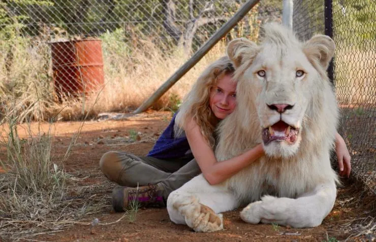 Миа и белый лев (2018) смотреть онлайн бесплатно Миа и белый лев (2018) фильм смотреть онлайн бесплатно