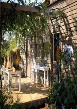 Миа и белый лев (2018) смотреть онлайн Миа и белый лев (2018) фильм смотреть онлайн