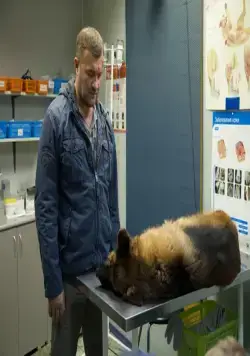 Сердце ангела (2014) в хорошем качестве смотреть онлайн Сердце ангела (2014) сериал в хорошем качестве смотреть онлайн