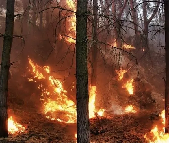 Дело было на Кубани (2011) 1 сезон 1-6,7,8 серия смотреть онлайн Дело было на Кубани (2011) сериал 1-6,7,8 серию 1 сезона смотреть онлайн