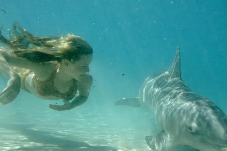 H2O: Просто добавь воды (2006) в хорошем качестве смотреть онлайн H2O: Просто добавь воды (2006) сериал в хорошем качестве смотреть онлайн