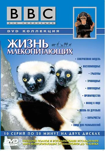 BBC: Жизнь млекопитающих / The Life of Mammals (2002) cериал смотреть онлайн BBC: Жизнь млекопитающих / The Life of Mammals (2002) cериал смотреть онлайн в хорошем качестве