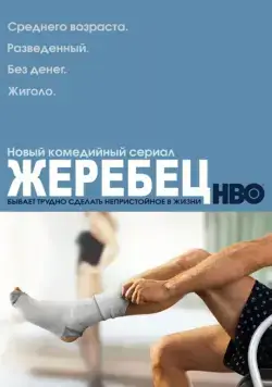 Жеребец / Hung (2009) cериал смотреть онлайн Жеребец / Hung (2009) cериал смотреть онлайн в хорошем качестве