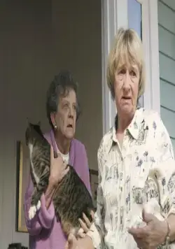 Отчаянные домохозяйки (2004) 1-8 сезон 1-21,22,23 серия смотреть онлайн Отчаянные домохозяйки (2004) сериал 1-21,22,23 серию 1-8 сезона смотреть онлайн