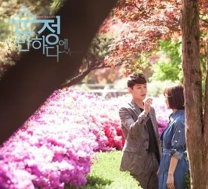 Влюбиться в Сун-джон (2015) 1 сезон 1-14,15,16 серия смотреть онлайн бесплатно Влюбиться в Сун-джон (2015) сериал 1-14,15,16 серию 1 сезона смотреть онлайн бесплатно