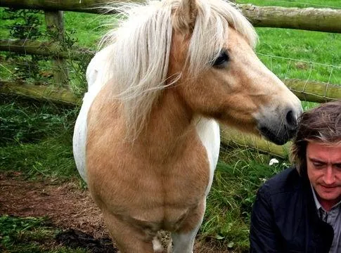 BBC: Невидимые миры (2010) смотреть онлайн BBC: Невидимые миры (2010) сериал смотреть онлайн