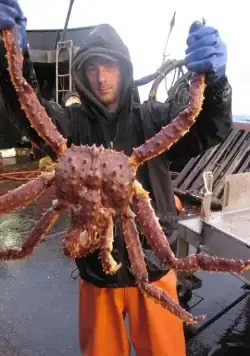 Смертельный улов (2005) 1-21 сезон 1-12,13,14 серия смотреть онлайн Смертельный улов (2005) сериал 1-12,13,14 серию 1-21 сезона смотреть онлайн