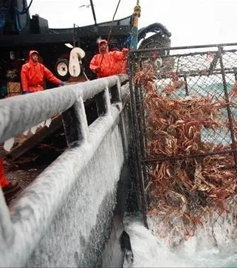 Смертельный улов (2005) 1-21 сезон 1-12,13,14 серия смотреть онлайн бесплатно Смертельный улов (2005) сериал 1-12,13,14 серию 1-21 сезона смотреть онлайн бесплатно