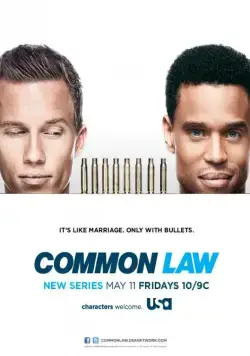 Общее дело / Common Law (2012) cериал смотреть онлайн Общее дело / Common Law (2012) cериал смотреть онлайн в хорошем качестве