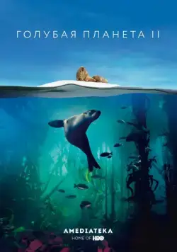 Голубая планета 2 / Blue Planet II (2017) cериал смотреть онлайн Голубая планета 2 / Blue Planet II (2017) cериал смотреть онлайн в хорошем качестве