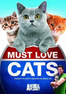 Кошек не любить нельзя / Must Love Cats (2011) cериал смотреть онлайн Кошек не любить нельзя / Must Love Cats (2011) cериал смотреть онлайн в хорошем качестве