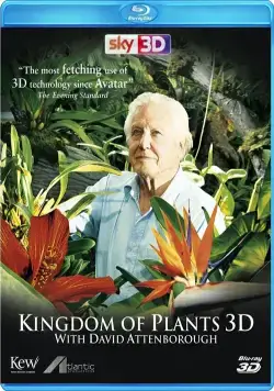 В королевстве растений / Kingdom of Plants 3D (2012) cериал смотреть онлайн В королевстве растений / Kingdom of Plants 3D (2012) cериал смотреть онлайн в хорошем качестве