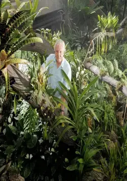 В королевстве растений (2012) смотреть онлайн В королевстве растений (2012) сериал смотреть онлайн